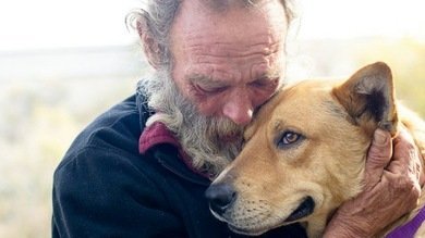 'Milagro de Navidad': Las donaciones salvan la vida del perro atropellado de un indigente
