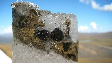 Logran resucitar un virus de hace 700 años