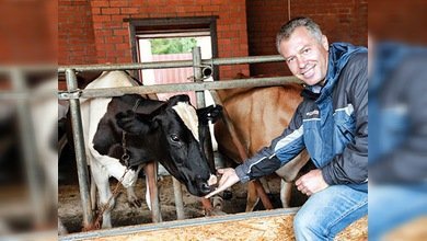 Cerdos y vacas que ven la tele y salvan vidas