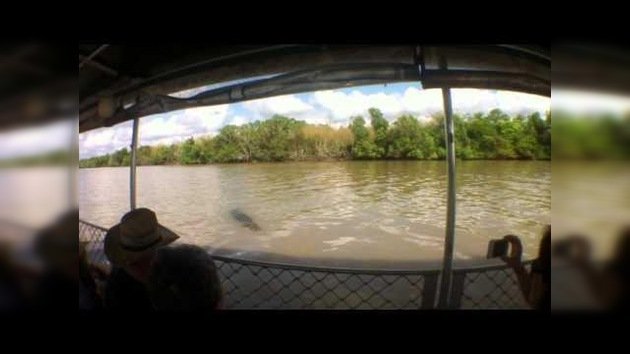 Un enorme cocodrilo ataca a un guía turístico en Australia