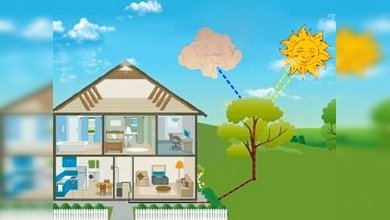 El árbol del futuro genera electricidad