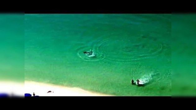 Dos bañistas escapan a tiempo de un tiburón martillo