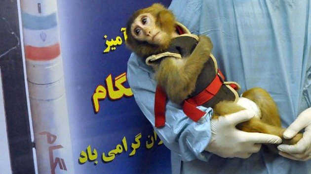 Irán anuncia el exitoso lanzamiento de otra cápsula espacial con un mono a bordo