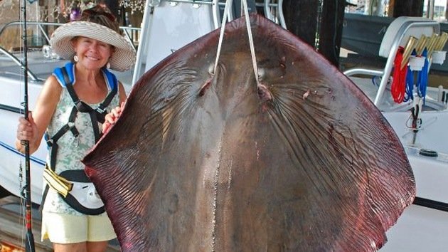 Una estadounidense cumplió su sueño al capturar un pez raya de tamaño récord