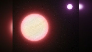 Hallada la estrella más fría del Universo