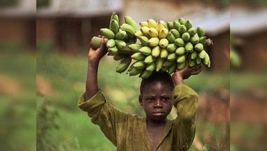 Controversias por la nueva guerra de Obama en África