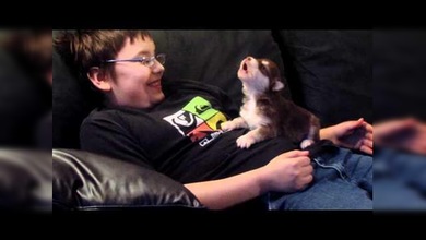 Adorable video: Un niño enseña a aullar a un cachorro de husky