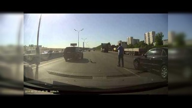 Una mamá pato cruza junto a sus patitos una autopista de alta velocidad en Moscú