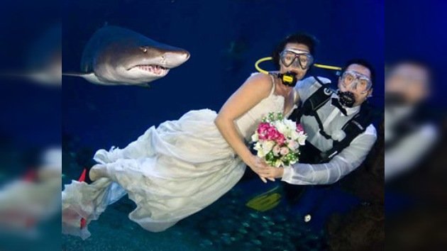 En Mallorca celebran bodas submarinas con tiburones como "testigos"