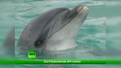 RECETA PARA EL FUTURO