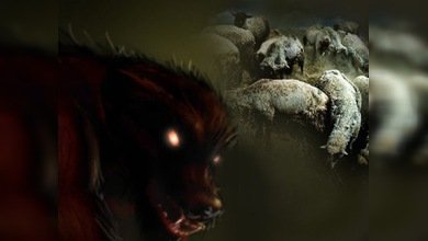 Un 'chupacabras' causa terror en una granja rusa