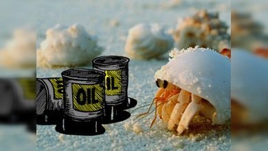 Chef de Nueva Orleans demandó a BP por reducción de pesca