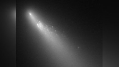 Un cometa por poco acaba con nosotros hace un siglo