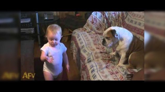 La abogada más joven del mundo debate con un perro