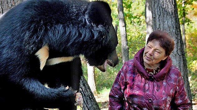 Una pareja rusa que mantenía a 10 osos los suelta en el bosque