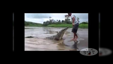 Un turista intrépido