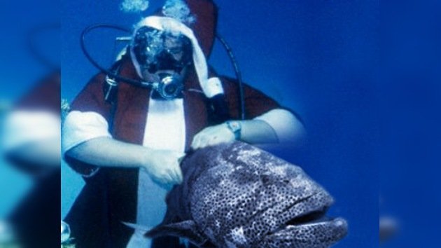 Un hombre disfrazado de Papá Noel bucea con peces con fin benéfico 