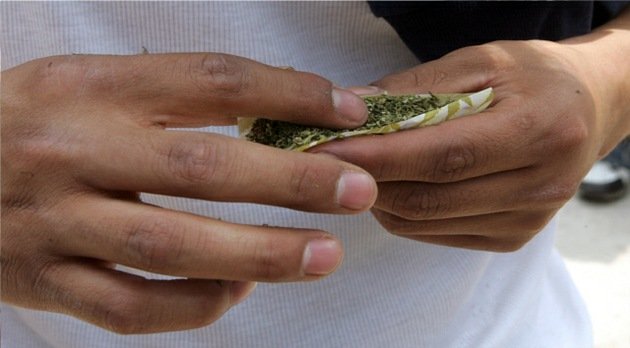 El consumo de marihuana en adolescentes podría reducir el coeficiente intelectual