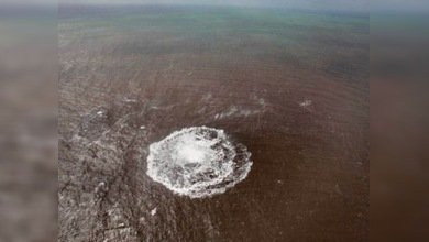 El nacimiento de la octava isla canaria