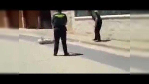 Un policía español mata a un perro de un disparo