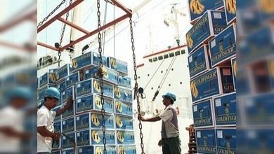 Brasil, Argentina y Libia favorecen su comercio con Ecuador