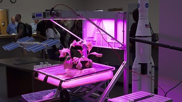 La NASA lanza Veggie, una misión para el cultivo de verduras en el espacio