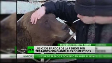 Provincia de Kemerovo. Siberia. (parte 3)