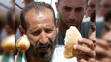 Gaza, con el desempleo al cuello