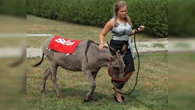 Anapka ya recibe tratamientos en los establos del Kremlin