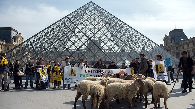 Video, fotos: Las ovejas invaden el Louvre