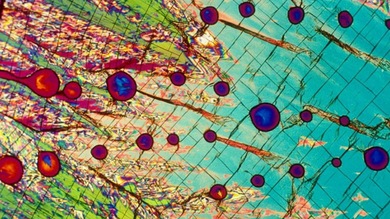 La belleza oculta en el alcohol: bebidas vistas a través del microscopio