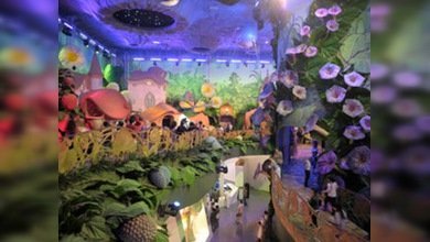 Rusia recibe la medalla de plata en la Expo 2010 de Shanghái