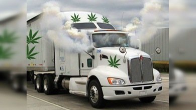 Marihuana: !Si no te poseo yo, no te poseerá nadie!