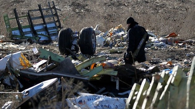 La madre de una fallecida en la catástrofe del MH17 lleva a Ucrania ante los tribunales