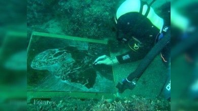 Pintura submarina para el Día Mundial del Agua
