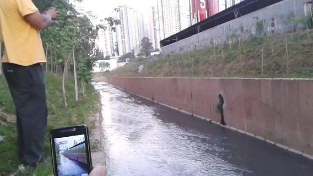 Rescatan a un perro atrapado en un canal