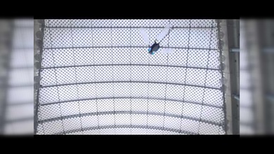 El primer vuelo de una libélula robótica