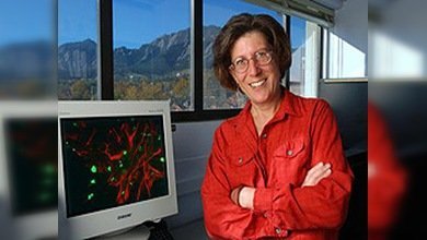 Bioquímicos dedicados a combatir el dolor ganan el Príncipe de Asturias