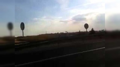 España: Un toro suelto en una carretera causa el pánico