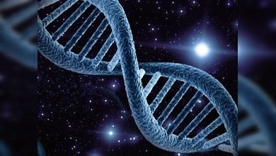 Por fin, ¿comprobado que la vida llegó a la Tierra en un meteorito?