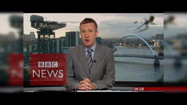 Una araña "gigante" en el noticiero de la BBC