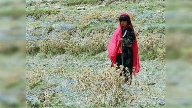 Utilizan a una niña de 8 años para explosionar un puesto policial en Afganistán