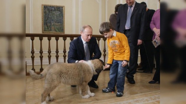 Niño de 5 años sugirió nombre para perro de Vladímir Putin