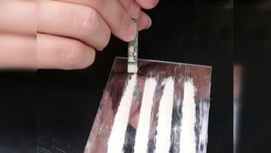 Los científicos españoles advierten sobre los graves daños de la cocaína