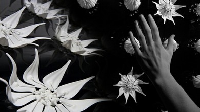 Vídeo: Esculturas móviles en el museo de arte cinético en Londres