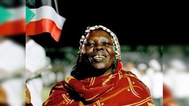Sudán firma una tregua con el principal grupo rebelde de Darfur