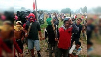 Paraguay: la policía desaloja a los 'sin techo' que echaron raíces en el jardín botánico 