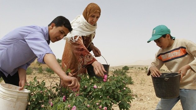 A pesar de las sanciones económicas, Siria se mantiene a flote gracias a la agricultura