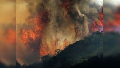 El gobernador de Texas declara la situación crítica debido a incendios de gran escala