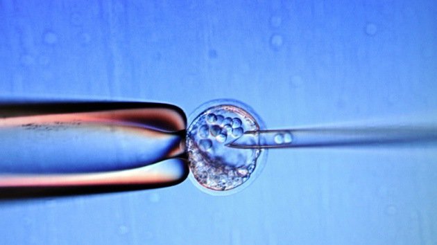 Científicos estadounidenses abren el camino a la clonación humana